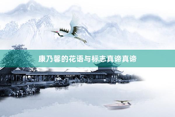 康乃馨的花语与标志真谛真谛
