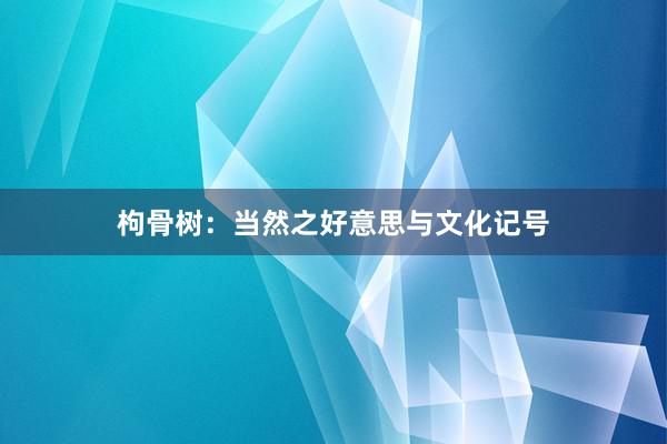 枸骨树：当然之好意思与文化记号