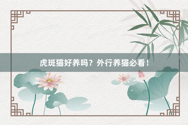 虎斑猫好养吗？外行养猫必看！