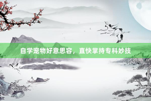 自学宠物好意思容，直快掌持专科妙技